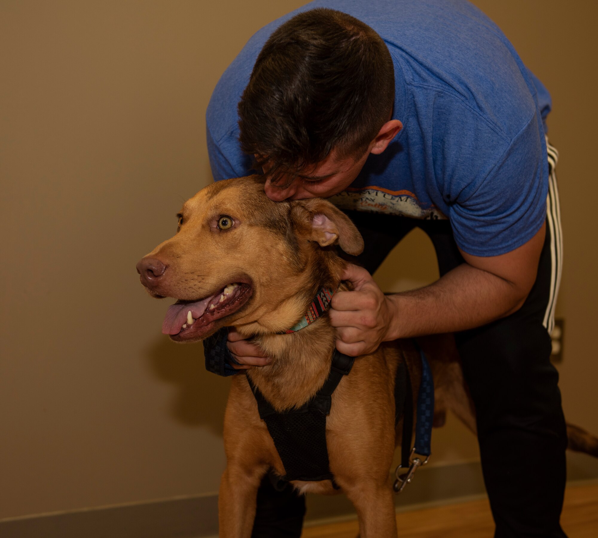 U.S. Air Force Airman 1st Class Christopher Nicely, 20th Security Forces Squadron entry controller, kisses a golden retriever he planned to adopt at a humane shelter in Camden, South Carolina, Aug. 15, 2019.