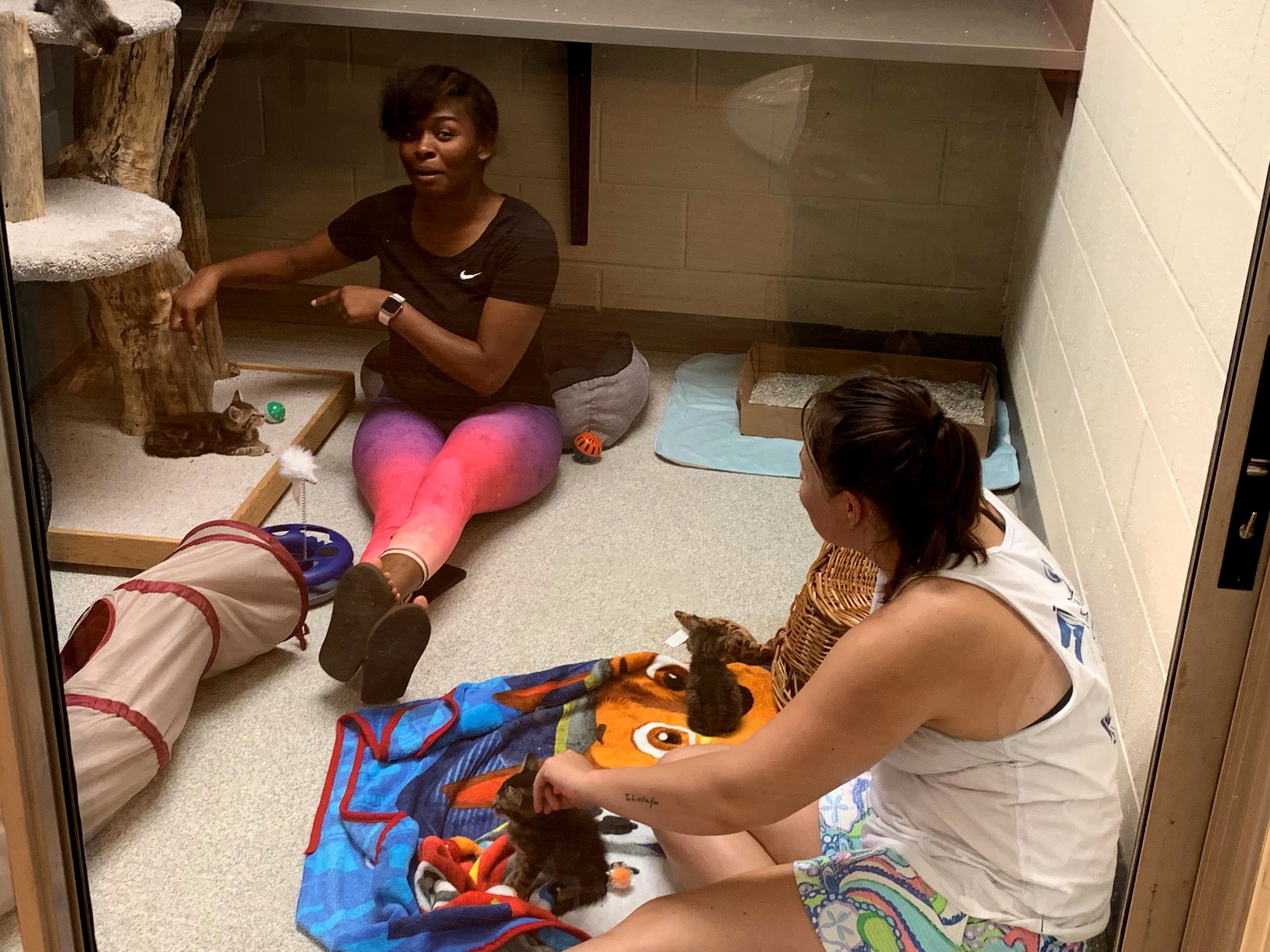 U.S. Air Force Airman 1st Class Taylor Libsco, 20th Security Forces Squadron (SFS) entry controller, left, and Airman 1st Class Ashley Kokoruda, 20th SFS entry controller, play with kittens at the Camden animal humane society, Aug. 15, 2019.