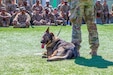 Brenda, a U.S. Air Force military working dog with 322 Expeditionary Security Forces Squadron, calmly sits next to her handler on the soccer field where she demonstrated her obedience, tolerance to human interaction and attack skills at Joint Training Center-Jordan during her visit Aug. 22, 2019. Readiness, the capability of our forces to conduct the full range of military operations to defeat all enemies regardless of the threats they pose, is paramount.
