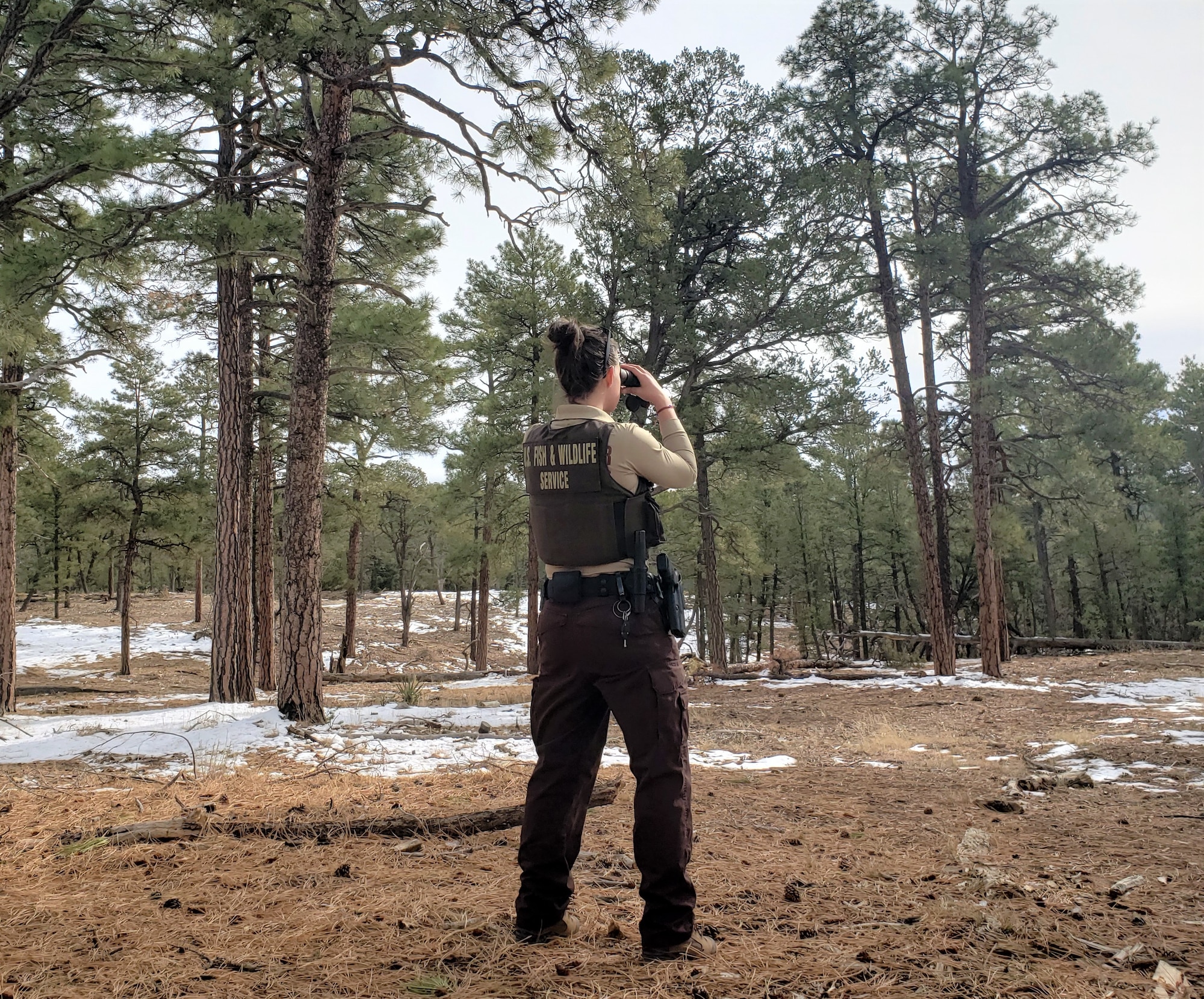 U.S. Fish and Wildlife federal wildlife officer, scans the withdrawn area at Kirtland Air Force Base, New Mexico.