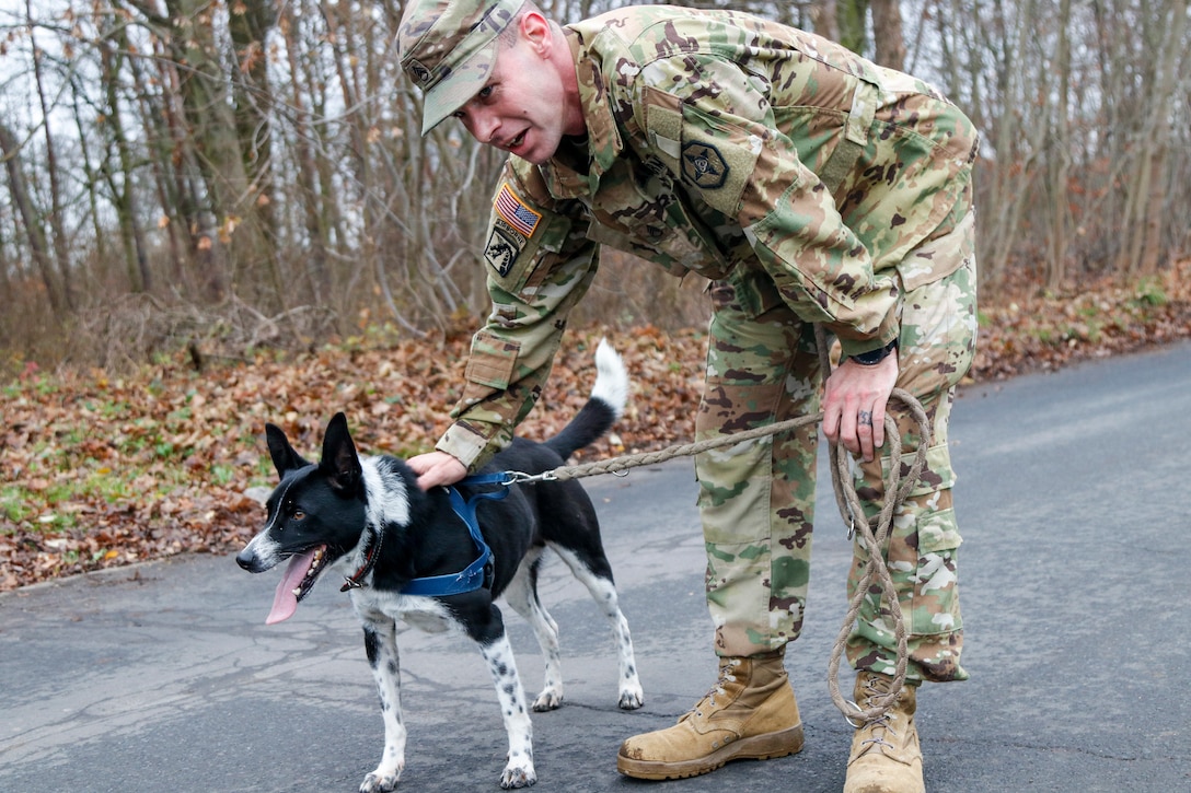 Man's best friend no matter where you are