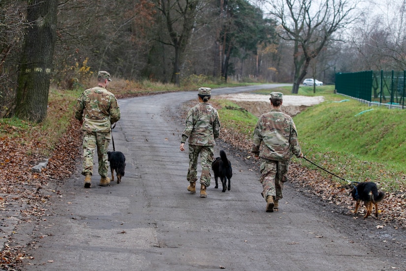 Man's best friend no matter where you are