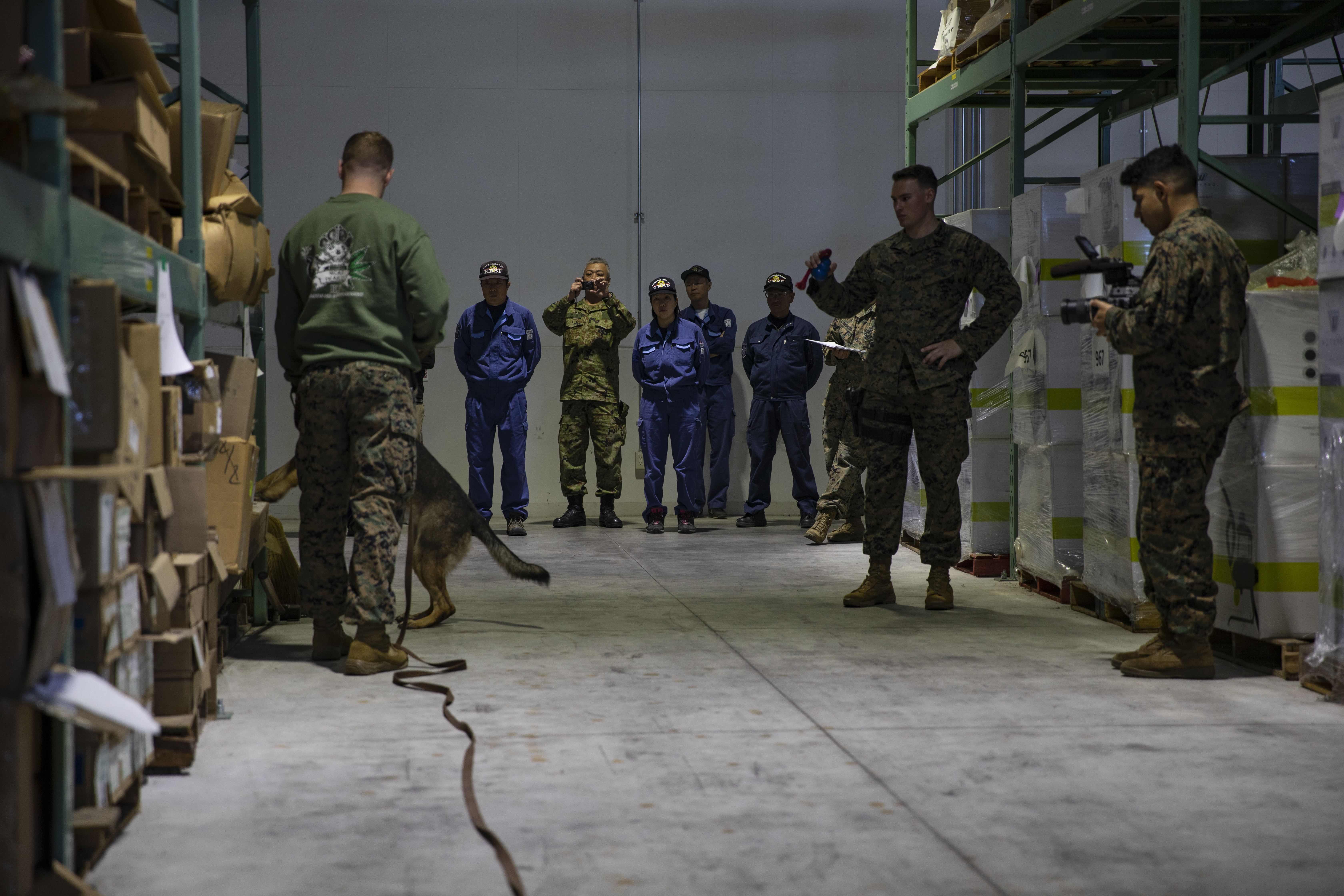 米軍と海上自衛隊が軍用犬探知訓練を実施 > Marine Corps Air