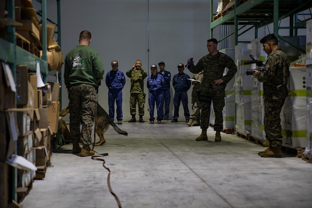 米軍と海上自衛隊が軍用犬探知訓練を実施 Marine Corps Air Station Iwakuni Japanese ニュース