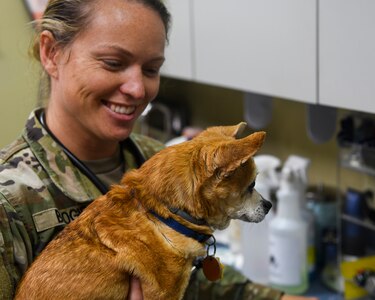 U.S. Army Capt. Jennifer Brogie, the officer in charge assigned to the Joint Base Charleston Veterinarian Clinic, handles one of her patients in an exam room at JB Charleston, S.C., Nov. 20, 2019. Some of the services the clinic provides include canine spay and neutering, dental care with or without extractions, mass removal and unfortunately when needed euthanasia. For the military working dogs, the animal care specialists keep a vigilant eye on the overall health of the K-9s and ensure they’re getting a proper diet as well perform their periodic checkups. (U.S. Air Force photo by Senior Airman Cody R. Miller)