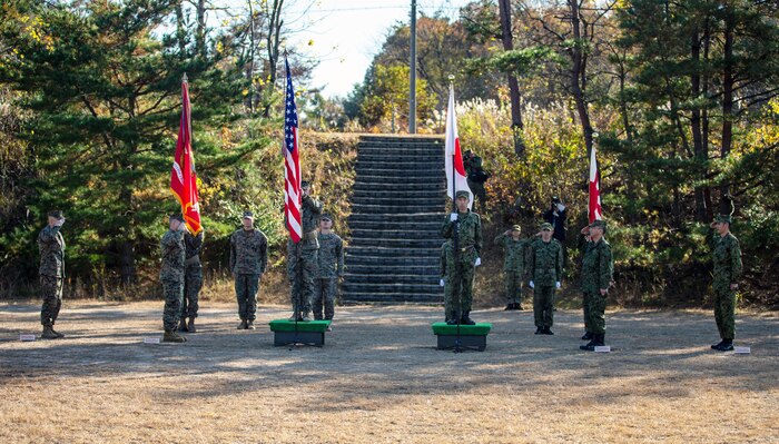 Forest Light Middle Army Begins