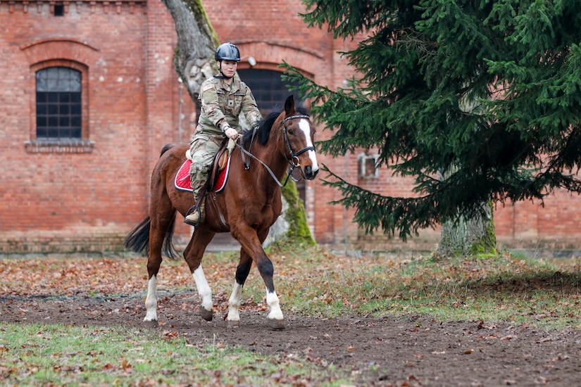 Army Reserve Soldier's birthday surprise while mobilized in Poland