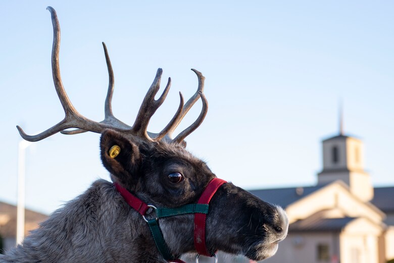 97 AMW hosts annual Holiday Tree Lighting.