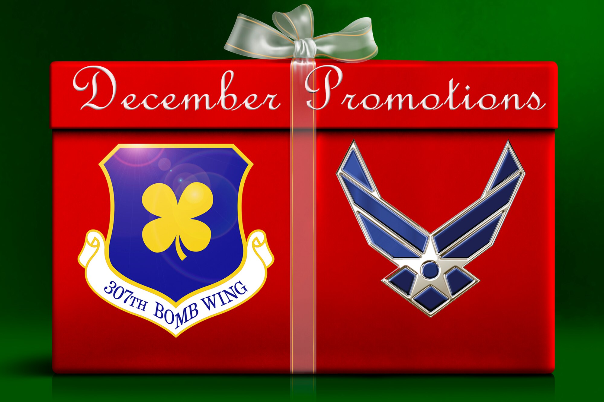 Gift wrapped box with 307th Bomb Wing and Air Force logo on front.
