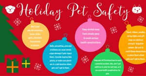 Safety during the holidays pertains to both humans and their furry family.