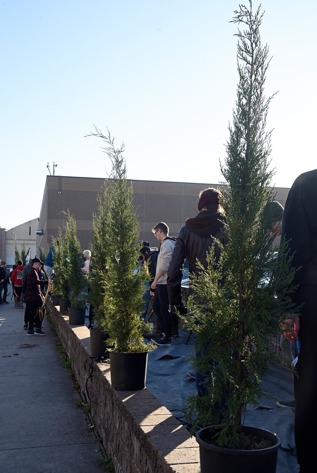 Approximately 50 Airmen from the 552nd Training Squadron helped to plant 37 Taylor Junipers and eight Bur Oaks throughout the 552nd Air Control Wing campus Nov. 15. As part of a campus beautification project, the trees will serve as a welcome sight for deployers coming home from environments void of trees and green landscapes. (U.S. Air Force photo/Kelly White)