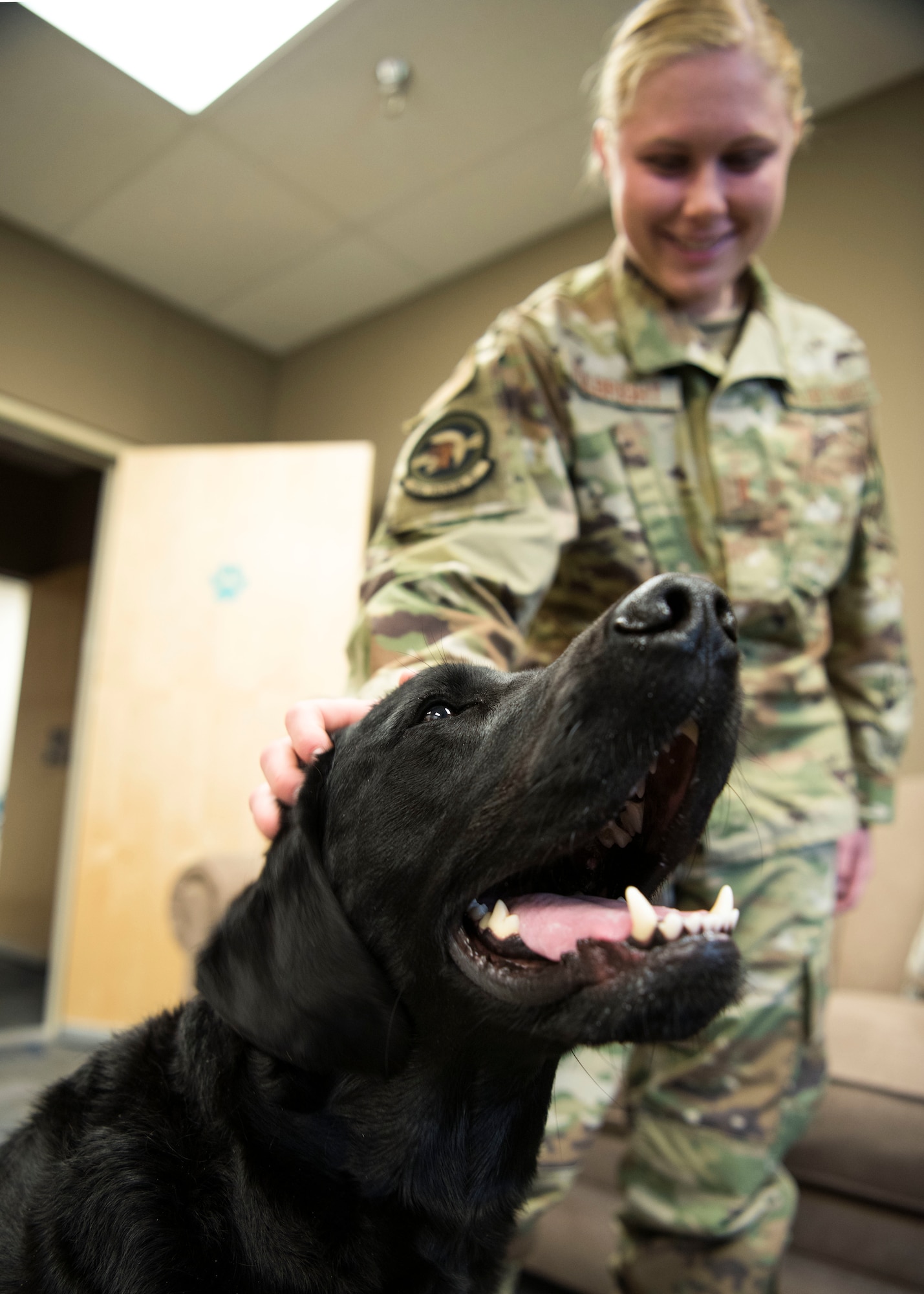 An Airman from Vandenberg Air Force Base, Calif., pets Preston, 30th Space Wing courthouse facility dog, at the Sexual Assault Prevention and Response office, Dec. 4, 2019. Preston’s main goal is to comfort and provide ease for victims and witnesses of sexual, verbal and domestic abuse. (U.S. Air Force photo by Airman 1st Class Aubree Milks)