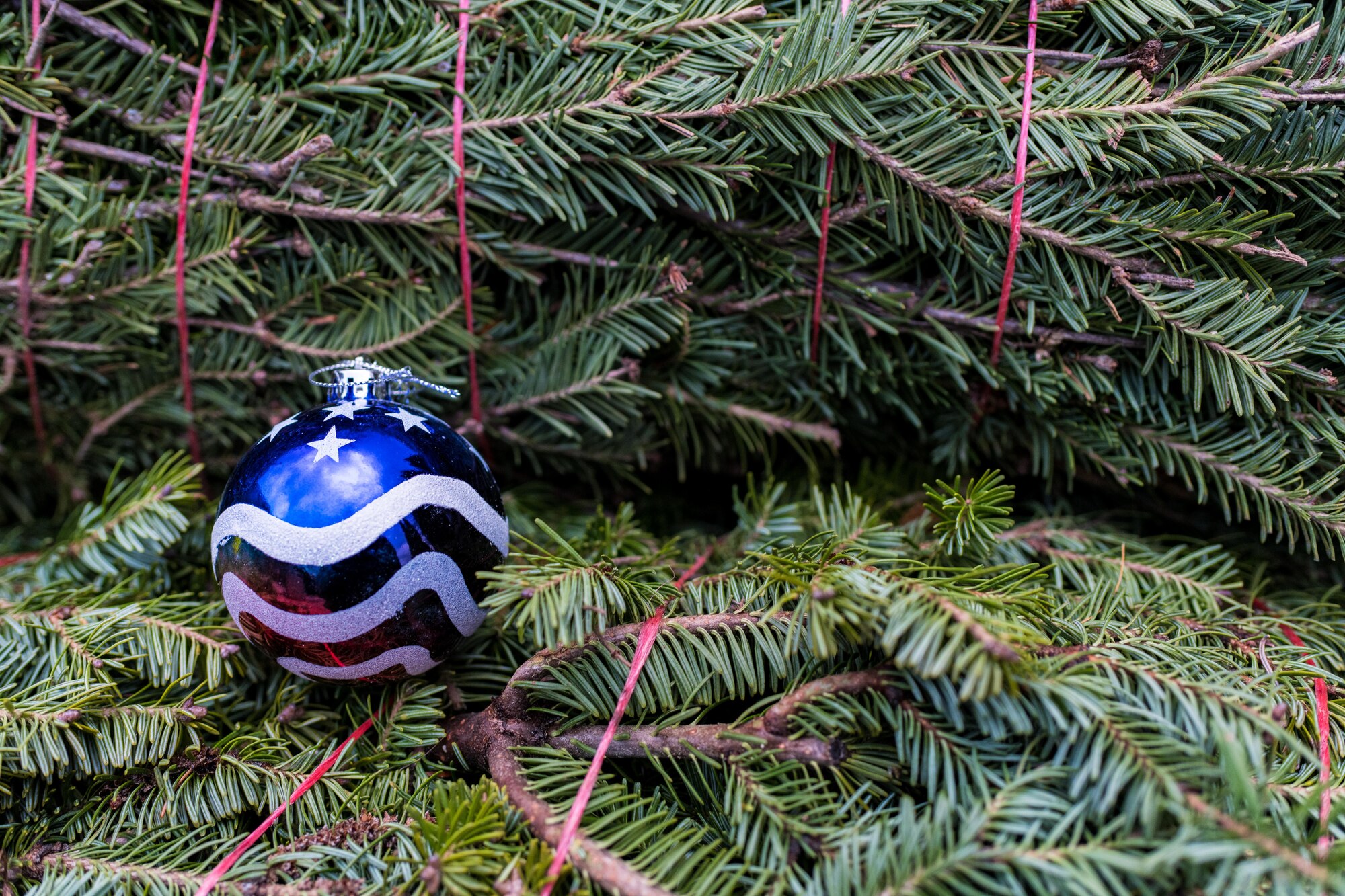 250 free live Christmas trees were donated through Trees for Troops to the Reserve Citizen Airmen, Marines and Sailors assigned to the installation.