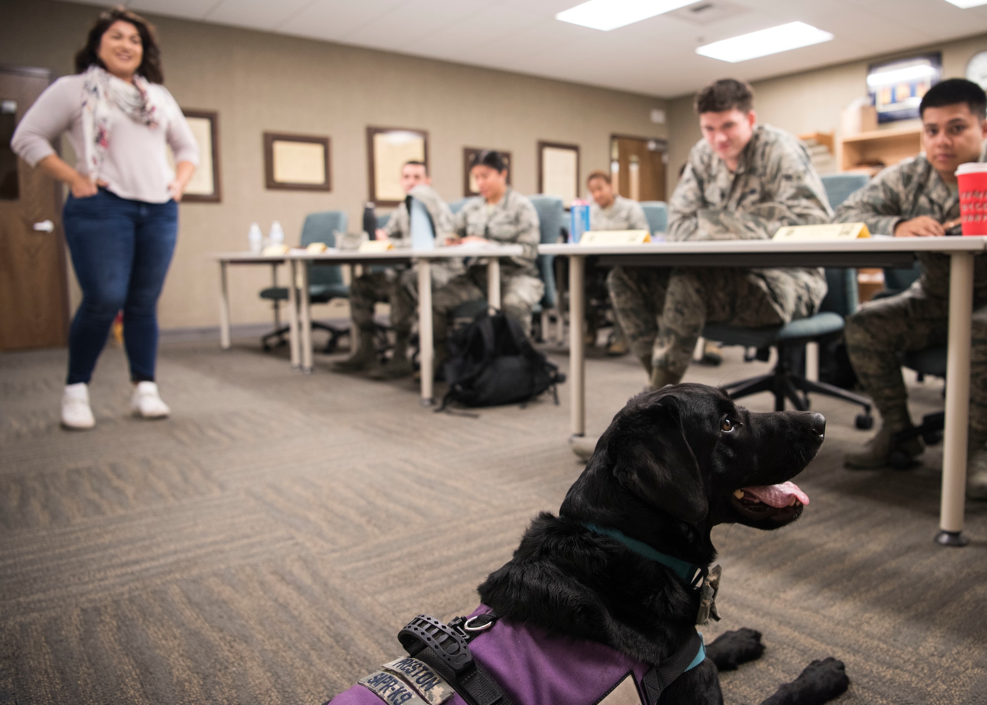 Pawsitive impacts first DOD certified courthouse facility dog