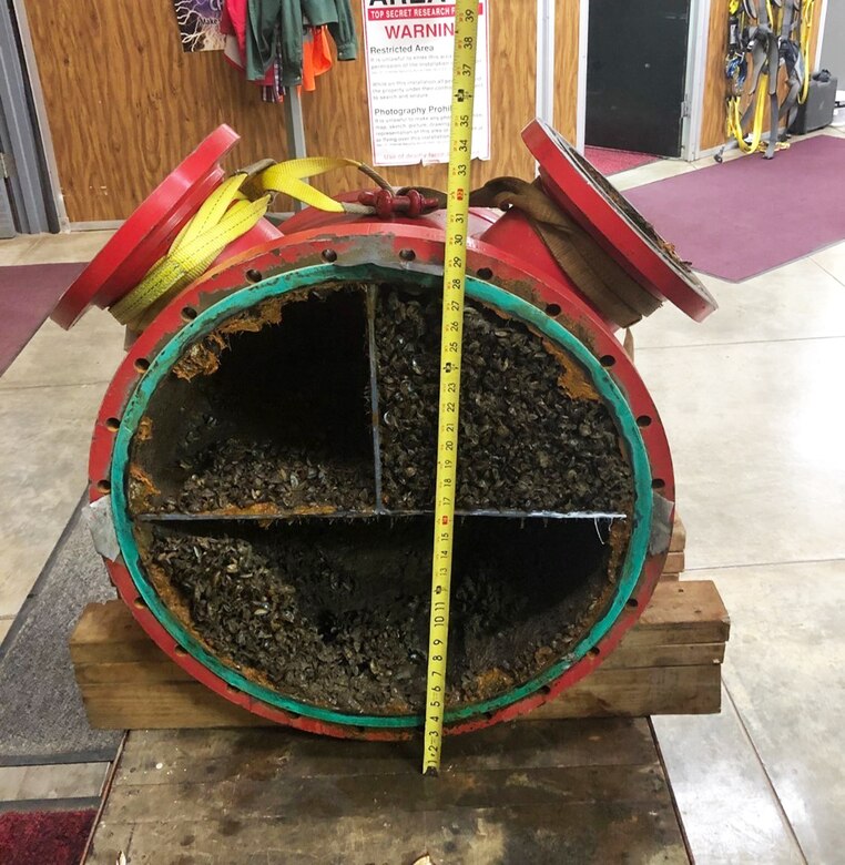 Zebra mussels were first discovered at the Gavins Point power plant in Sept. 2015. In this photo, they can be seen creating a blockage in one of the pipes.