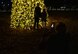 Mom takes a photo of her children by a lighted tree