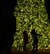 Girls dance by a lighted tree