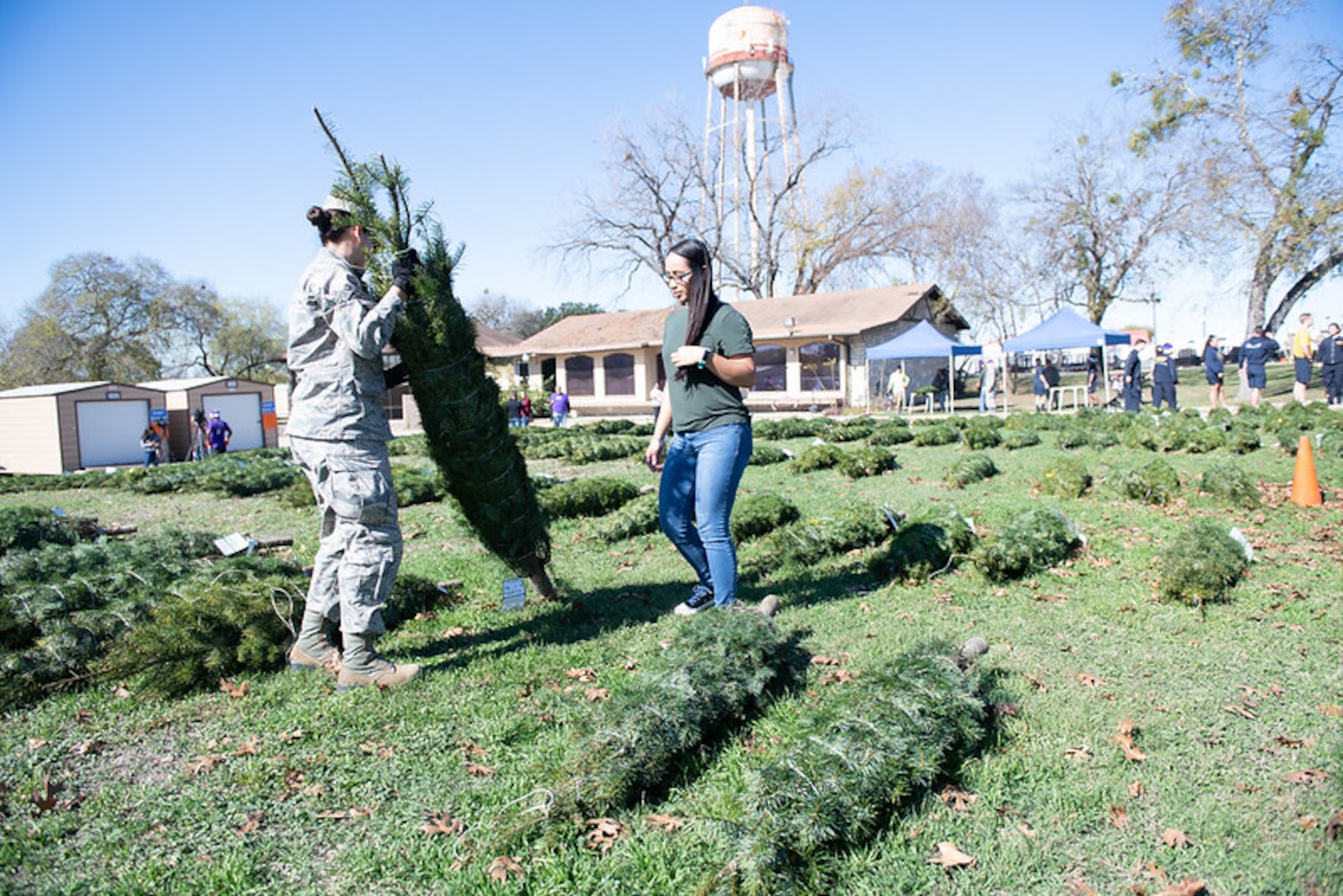 Trees for Troops