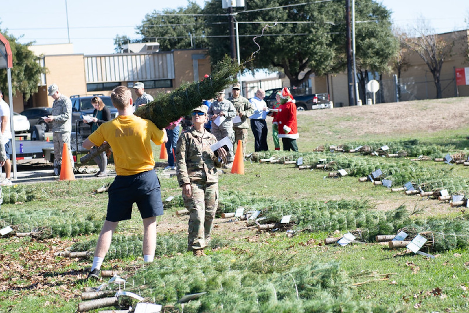 Trees for Troops