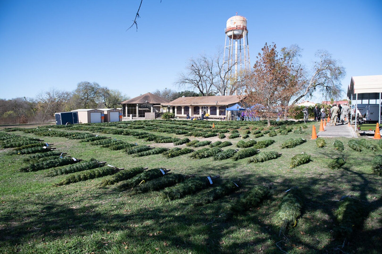 Trees for Troops