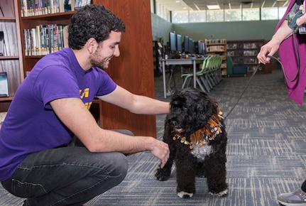 Therapy Animals of San Antonio