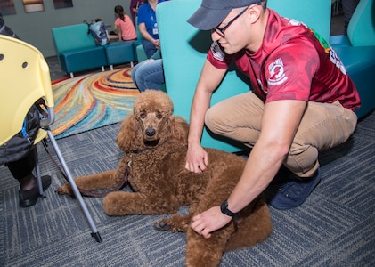 Therapy Animals of San Antonio