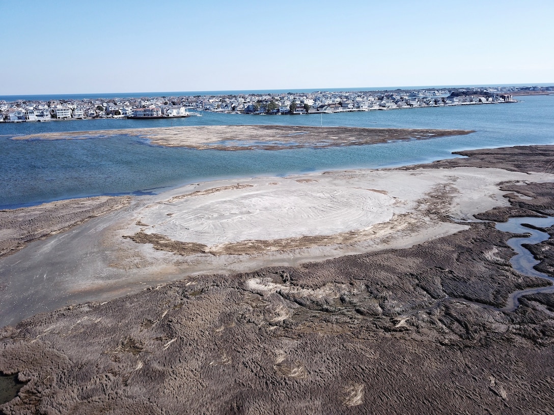 USACE partnered with the state of New Jersey and the Wetlands Institute to create nesting bird habitat at Ring Island near Stone Harbor, N.J. Sandy dredged material was placed on the site in 2014 and again in 2018. The newly created colonial nesting bird habitat has been successfully utilized by black skimmers, common and least terns, and American oystercatchers – all state endangered species or species of special concern in the state of New Jersey.