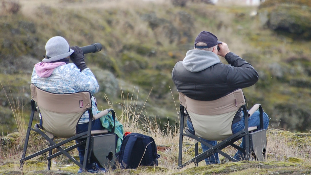 Eagle Watch at The Dalles Dam