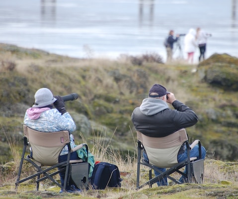 Eagle Watch at The Dalles Dam