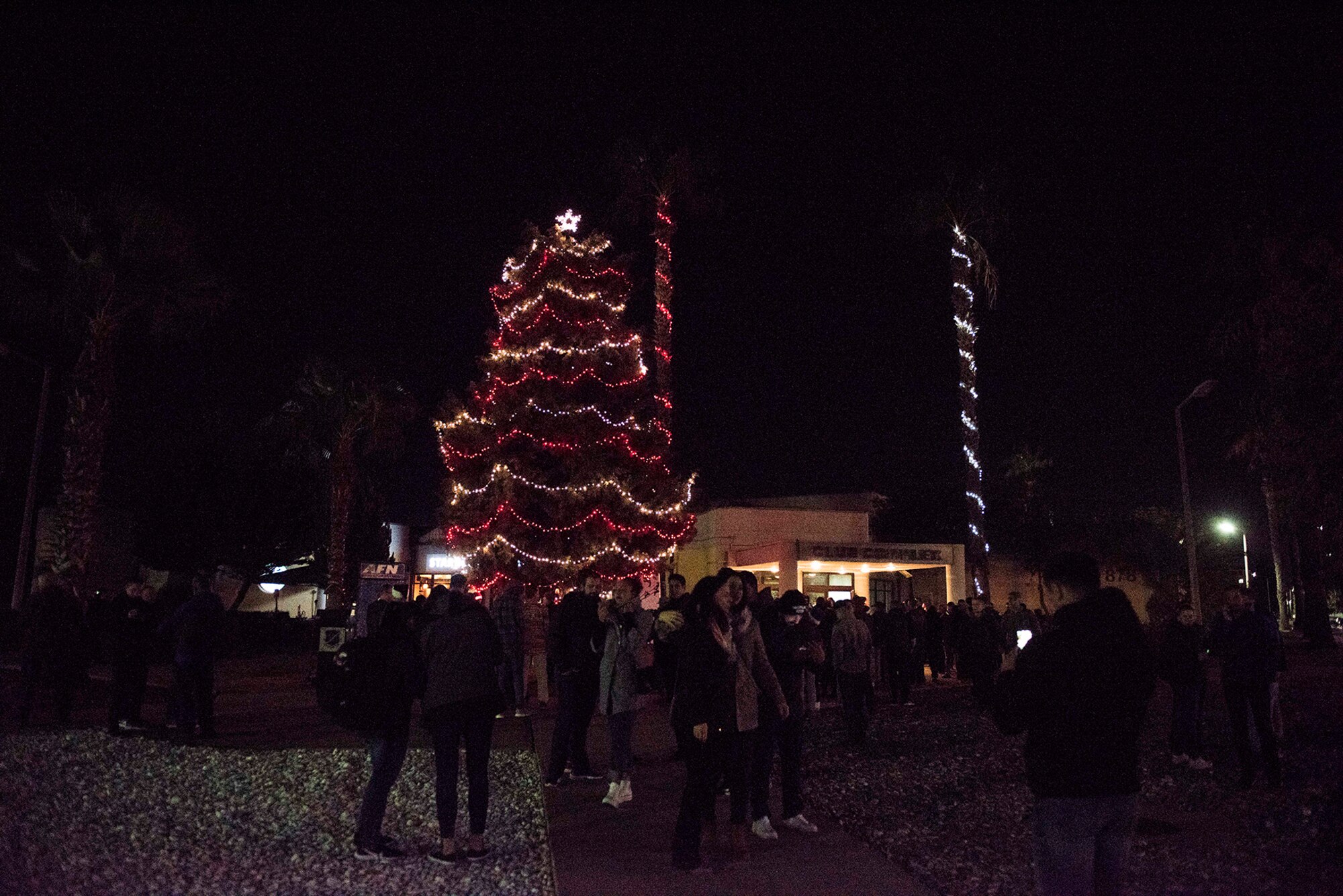 Community members gather around the base Christmas tree at Incirlik Air Base, Turkey. The Incirlik community kicked off the holiday season with a tree lighting event, warm refreshments and caroling. (U.S. Air Force photo by Staff Sgt. Joshua Magbanua)