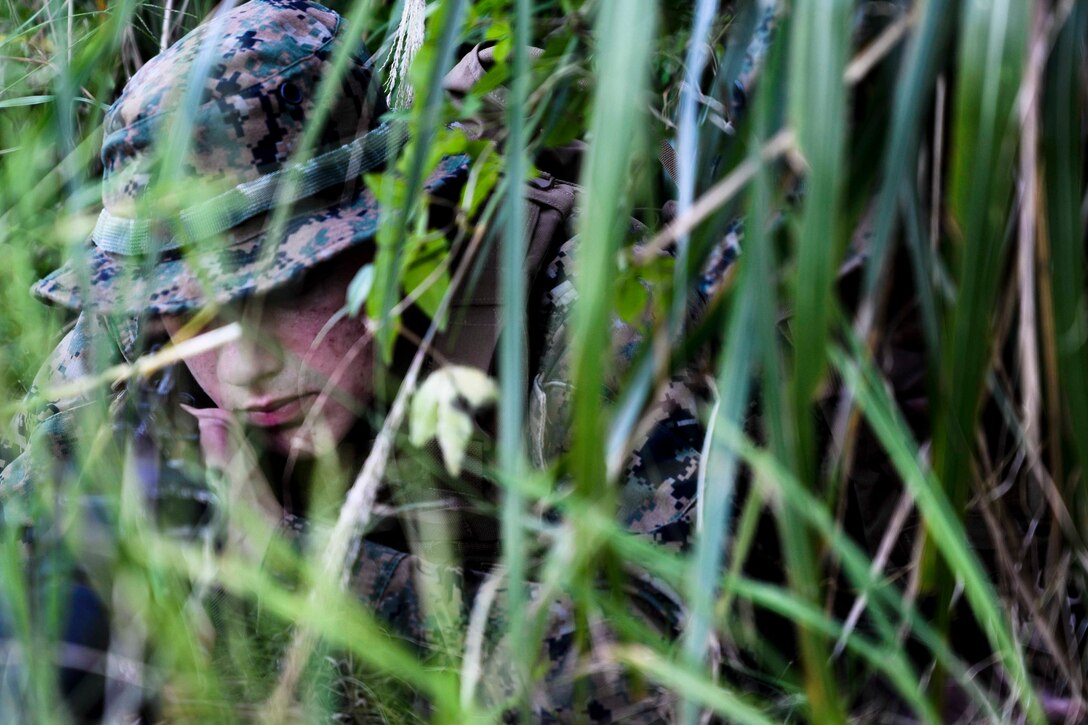A Marine hidden behind long green grass.
