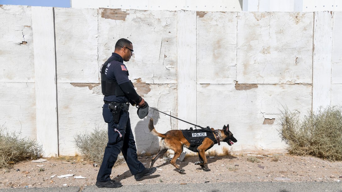 Sgt. Damian Williams, Fort Irwin Police Department, and his partner Cash look for planted narcotics during a joint Military Working Dog training session at the National Training Center on Fort Irwin, California, Dec. 11. (Air Force photo by Giancarlo Casem)