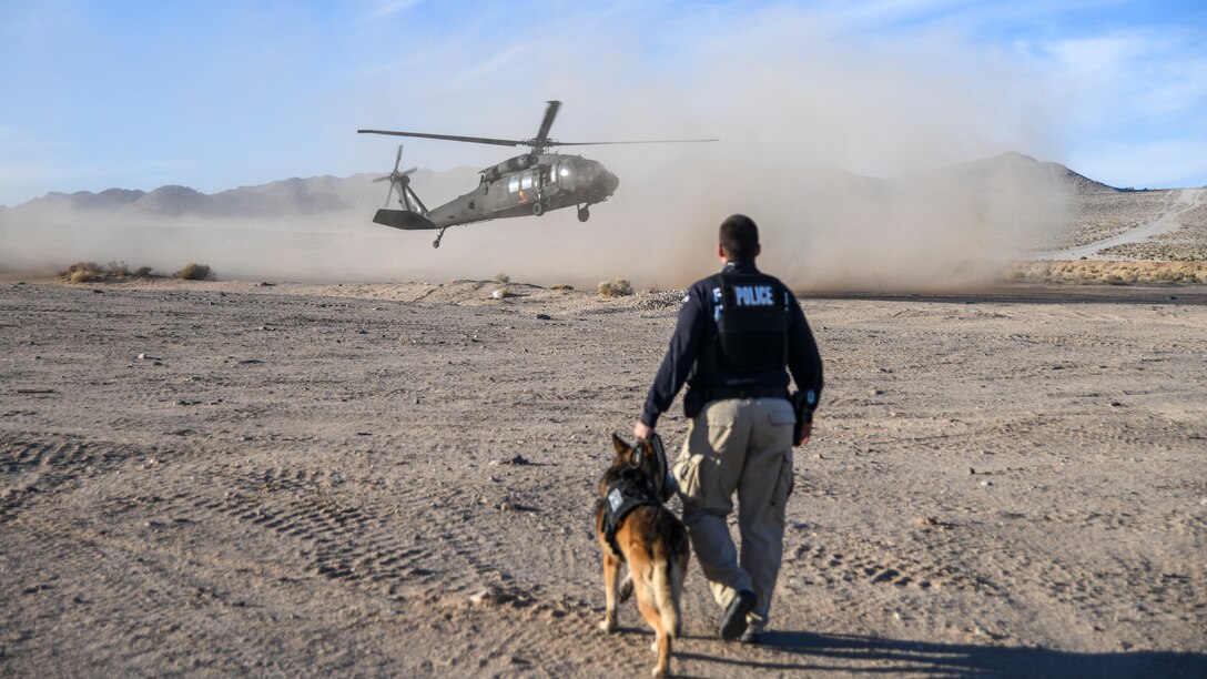 A UH-60 Blackhawk helicopter, assigned to A Company, 2916th Aviation Battalion, lands just outside a training village at the National Training Center on Fort Irwin, California, Dec. 11. The NTC hosted the first-ever event and invited MWD teams from Edwards and Nellis Air Force bases, as well as Marine Corps Logistics Base-Barstow. (Air Force photo by Giancarlo Casem)