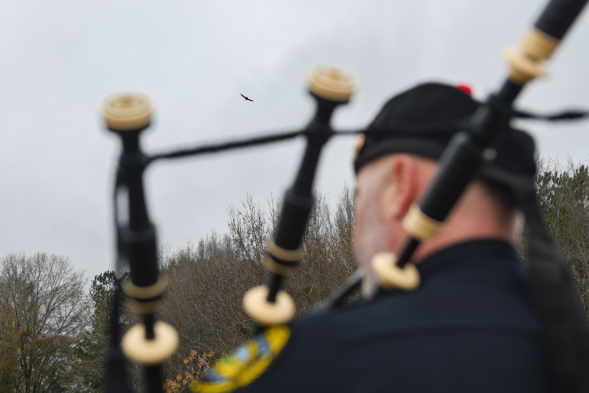 Fallen veterans honored during Wreaths Across America