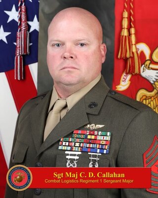 Combat Logistics Regiment 1