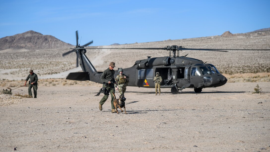 Military Working Dogs and their handlers disembark from a UH-60 Blackhawk helicopter flown by A Company, 2916th Aviation Battalion, during a joint Military Working Dog training session at the National Training Center on Fort Irwin, California, Dec. 11. (Air Force photo by Giancarlo Casem)