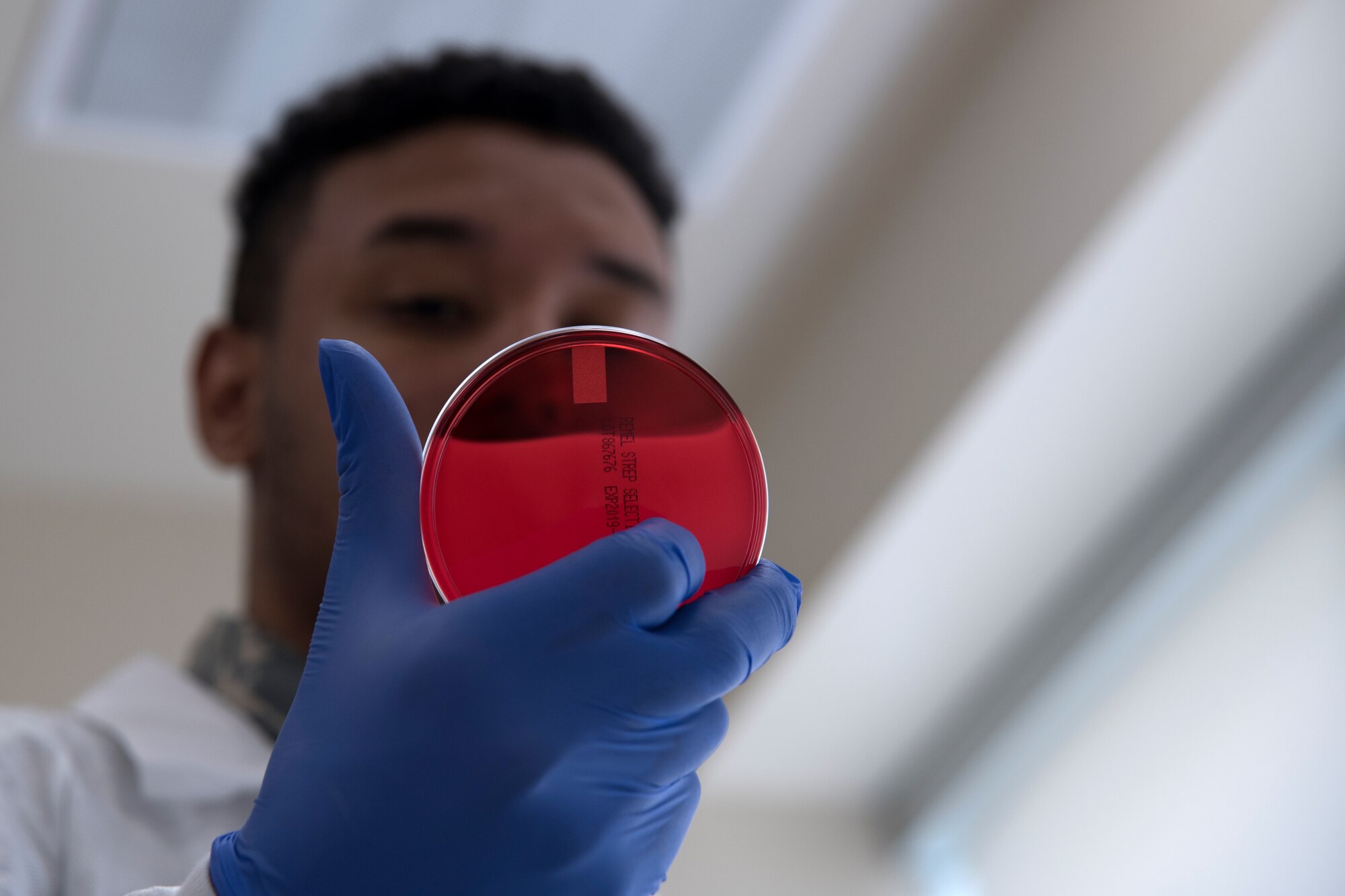 Photo of an Airman holding up a red blood plate used to grow bacteria
