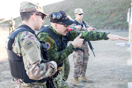 U.S. and Canadian military police conduct weapons training in Romania