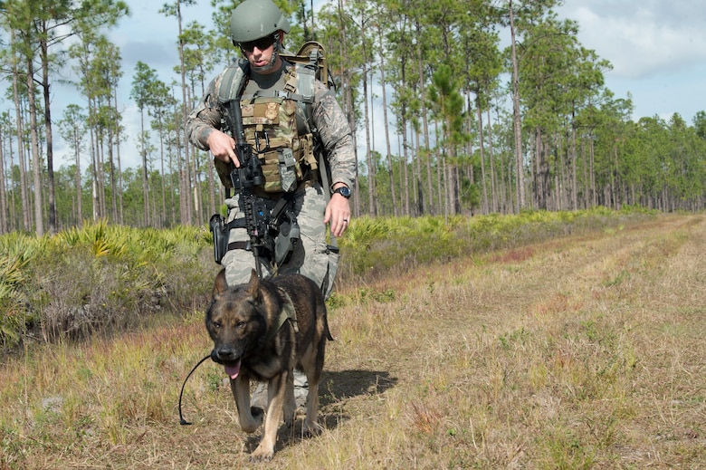 U.S. Air Force Staff Sgt. Brian Lepes, a 6th Security Forces Squadron (SFS) military working dog (MWD) handler, and MWD Zeno, walk along a road during a field training exercise Dec. 11, 2019, at Avon Park Air Force Range, Fla.  The 6th SFS MWD handlers trained on explosive ordnance detection procedures with the 6th Civil Engineer Squadron explosive ordnance disposal flight, to better integrate training between units.