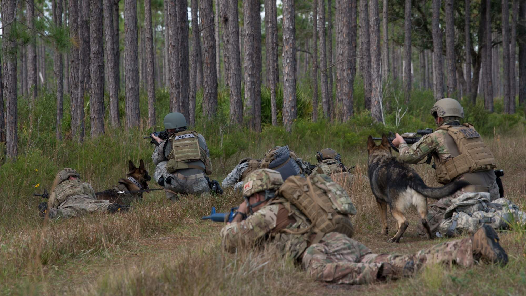 U.S. Air Force Airmen with the 6th Civil Engineer Squadron explosive ordnance disposal flight, the 6th Security Forces Squadron and the 927th Aeromedical Staging Squadron, respond to a simulated threat during a field training exercise Dec. 11, 2019, at Avon Park Air Force Range, Fla. The training exercise was intended to put the Airmen through difficult scenarios in an austere environment, where they could practice skills that cannot be replicated at home station.