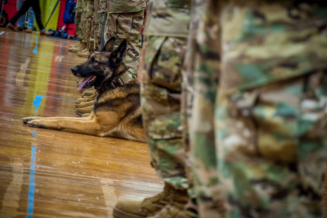 A dog lies on the floor in between the legs of some service members.