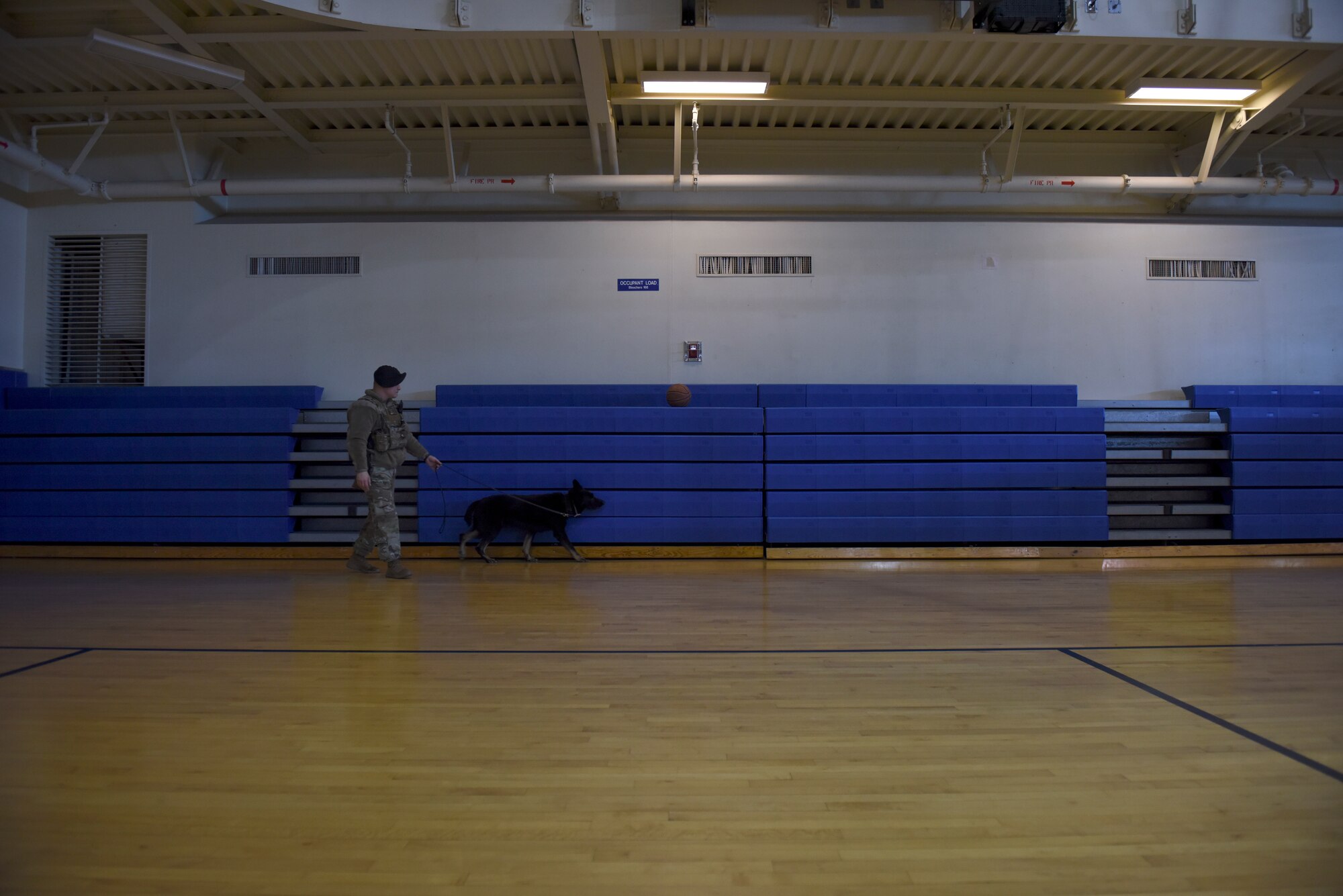 U.S. Air Force Staff Sgt. Roger Shaw, 8th Security Forces Squadron Military Working Dog handler, conducts routine detection and patrol work with MWD Alan at Kunsan Air Base, Republic of Korea, Dec. 12, 2019. The 8th SFS MWD section plays an integral role in base defense, including the detection of explosives and narcotics and deterrence. (U.S. Air Force photo by Staff Sgt. Mackenzie Mendez)