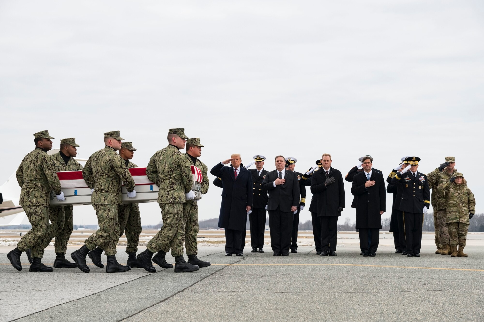 A U.S. Navy carry team transfers the remains of Scott A. Wirtz of St. Louis, Mo., during a dignified transfer Jan. 19, 2019, at Dover Air Force Base, Del. Wirtz was assigned to the Defense Intelligence Agency as an operations support specialist. (U.S. Air Force photo by Roland Balik)