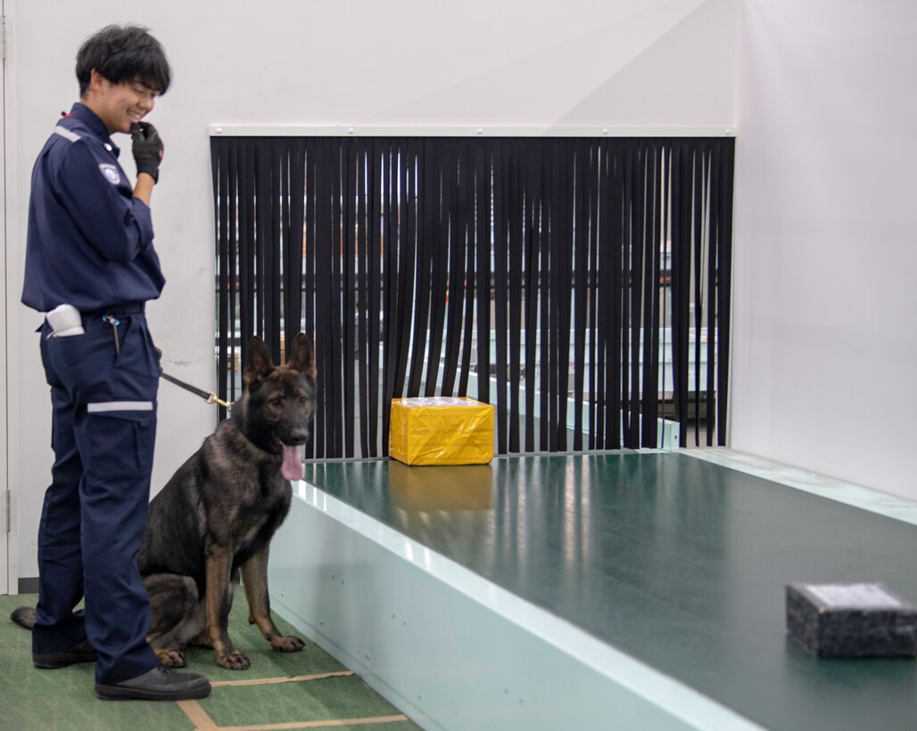 Yokota MWD team train with Tokyo Customs