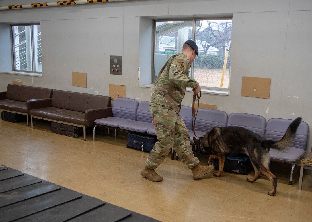 Yokota MWD team train with Tokyo Customs