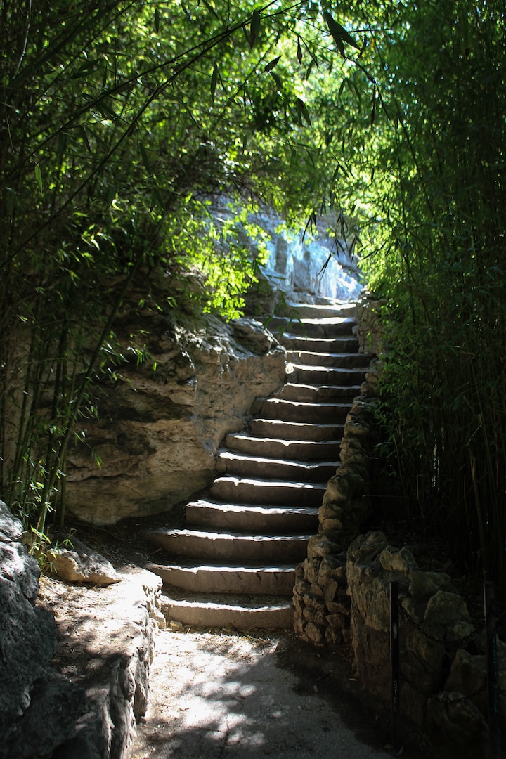 Hannah Cook, a student at Cole High School located at Joint Base San Antonio-Fort Sam Houston, took this image of an outdoor stairway titled “Path of Light.” Her photo is one of 101 images submitted by students in the Cole photography program that are included in an exhibit at the Fort Sam Houston Museum that opened Dec. 10.