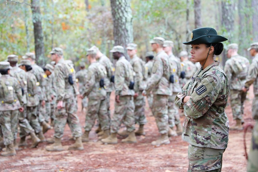 The Making of a Drill Sergeant: Transforming Civilians into Soldiers