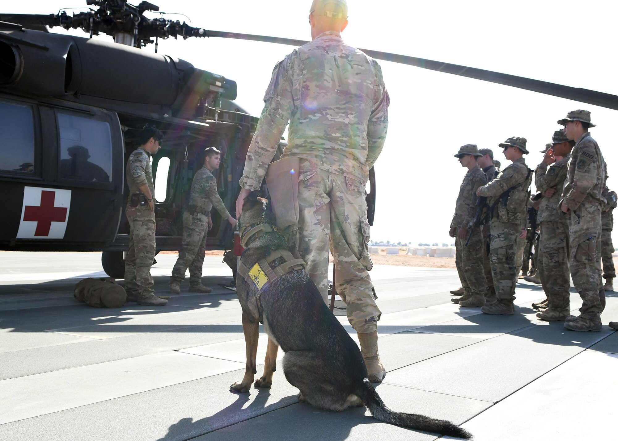 U.S. Air Force Staff Sgt. Daniel Duarte, 378th Expeditionary Security Forces Squadron K-9 handler, and his military working dog, Tuko, watch as U.S. Army personnel brief the 378th ESFS on medical evacuation techniques Nov. 27, 2019, at Prince Sultan Air Base, Saudi Arabia.