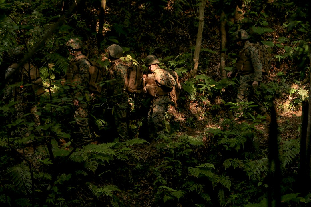 Marines carefully move through heavy forest cover.