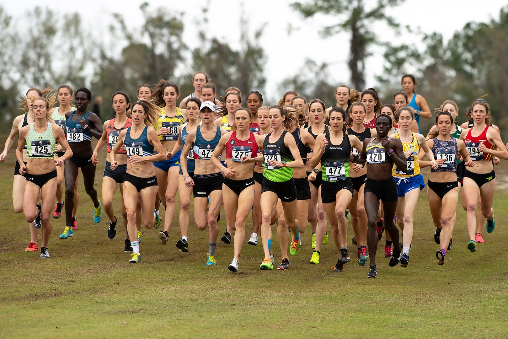 9 USA Track and Field Cross Country Championship in Tallahassee, Fl. Feb. 2, 2019. (DoD photo by EJ Hersom)